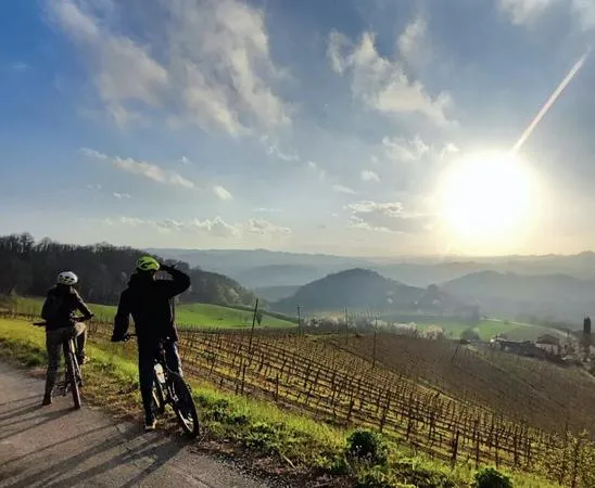 Tour in e-bike con visita in cantina sulle colline del Monferrato