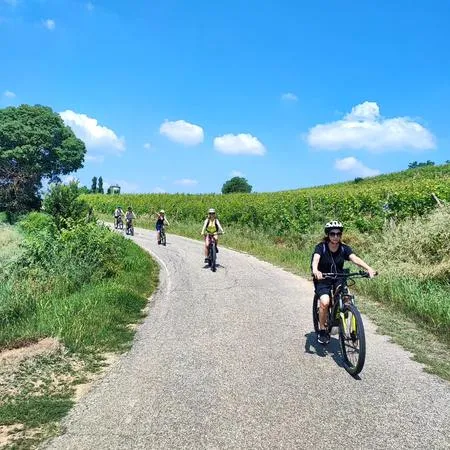 Tour in e-bike con visita in cantina sulle colline del Monferrato