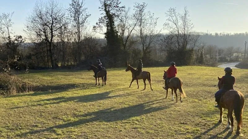 Passeggiata a cavallo tra boschi e vigneti del Lodigiano