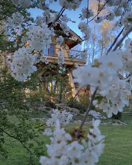 Notte in casa sull'albero a Pamparato fuori Cuneo