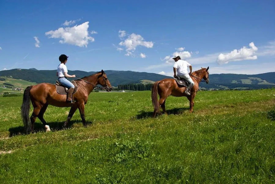 Passeggiata a cavallo sull'Altopiano di Asiago
