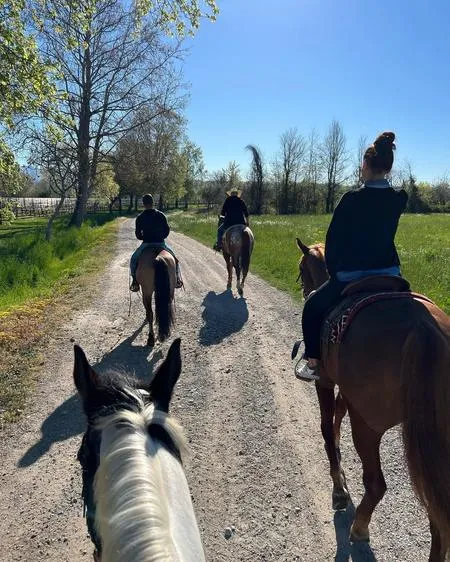Passeggiata a cavallo tra i vigneti della Franciacorta
