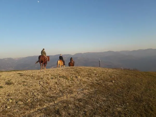 Passeggiata a cavallo a Serramazzoni sull'Appennino Modenese