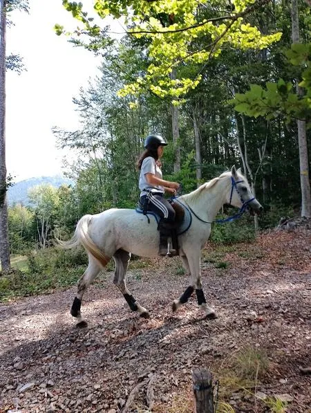 Passeggiata a cavallo a Serramazzoni sull'Appennino Modenese