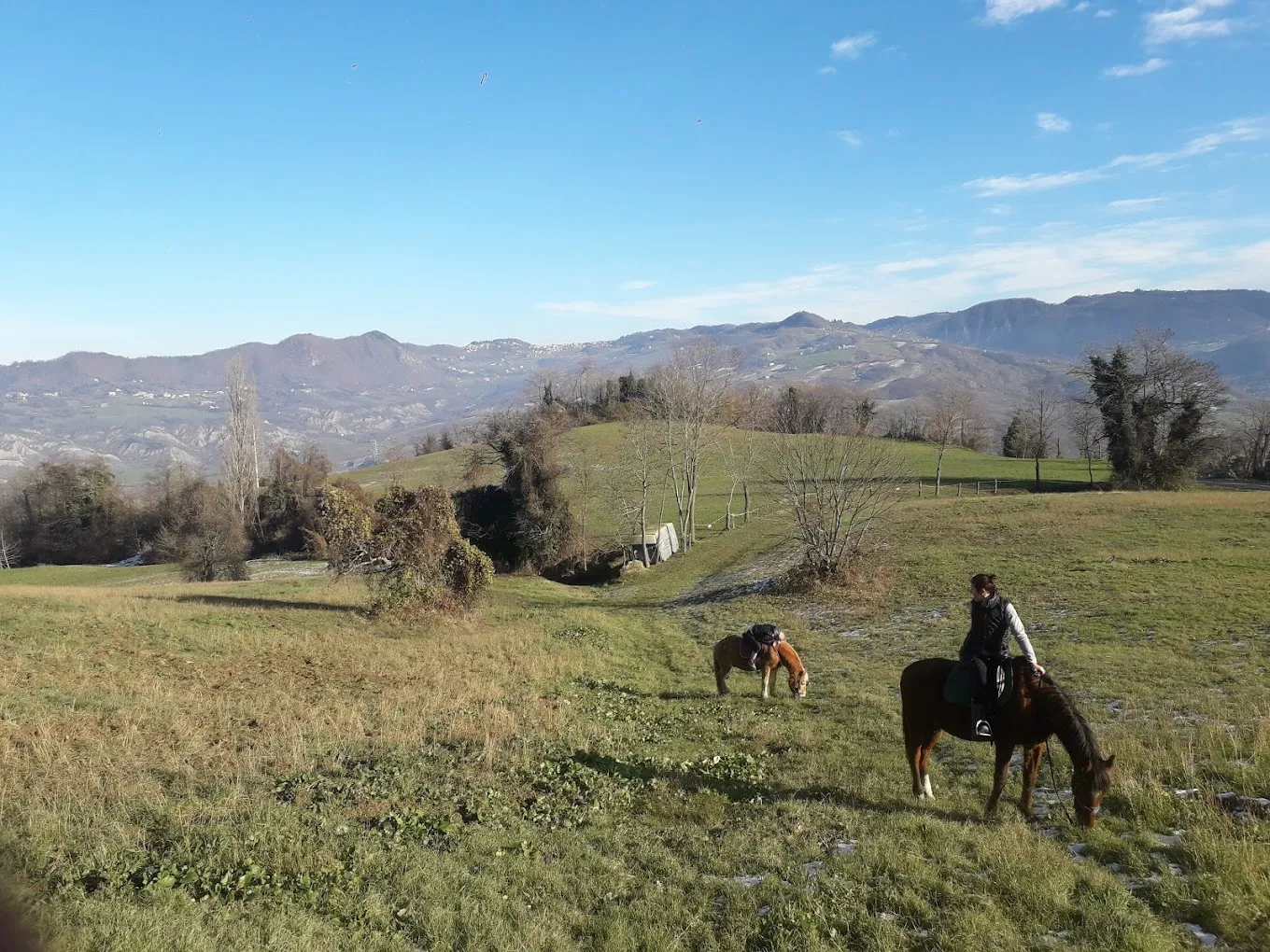 Passeggiata a cavallo a Serramazzoni sull'Appennino Modenese
