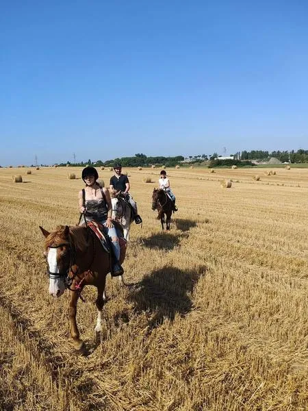 Passeggiata a cavallo a Viterbo nella natura