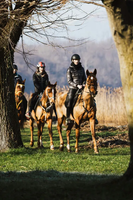 Passeggiata a cavallo panoramica sul Lago di Lecco