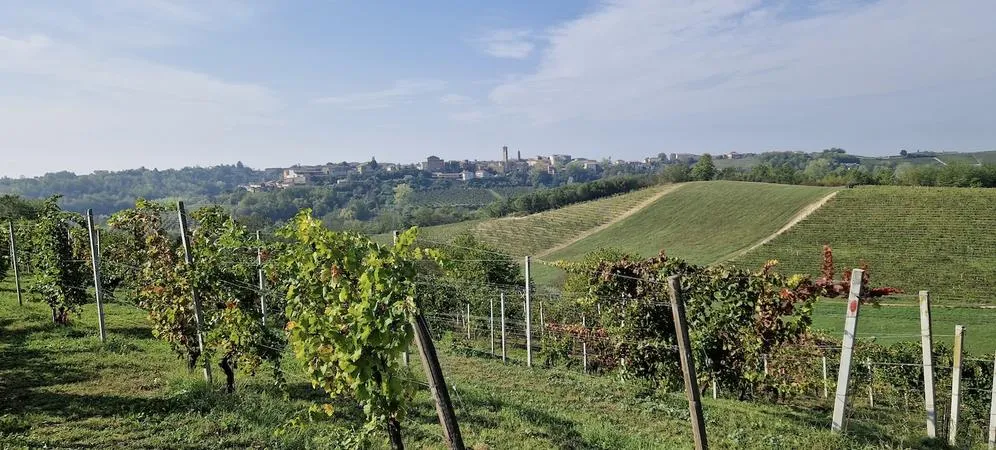 Visita in cantina e degustazione sulle colline di Montemagno