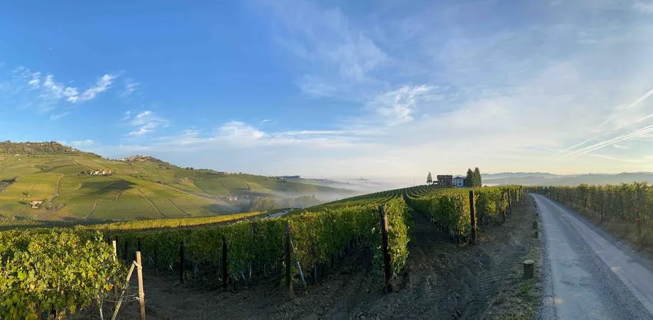 Degustazione di Barolo sulla collina di Cannubi