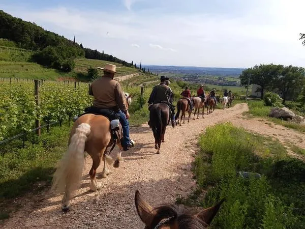 Passeggiata a Cavallo nella Valpolicella