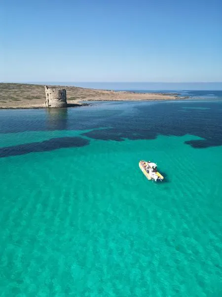 Escursione in gommone di mezza giornata con aperitivo all'Asinara