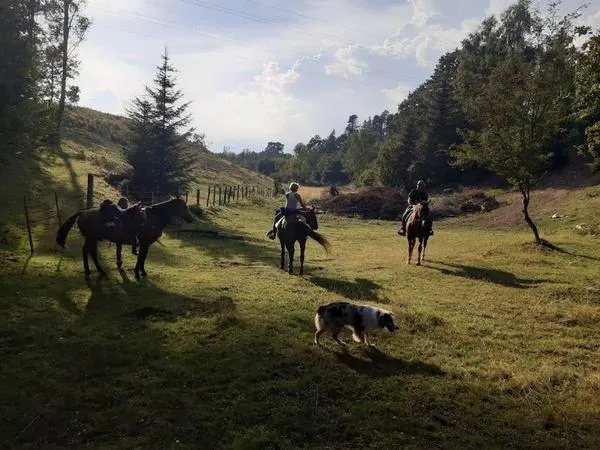 Passeggiata a Cavallo ai piedi del Monte Baldo con vista lago