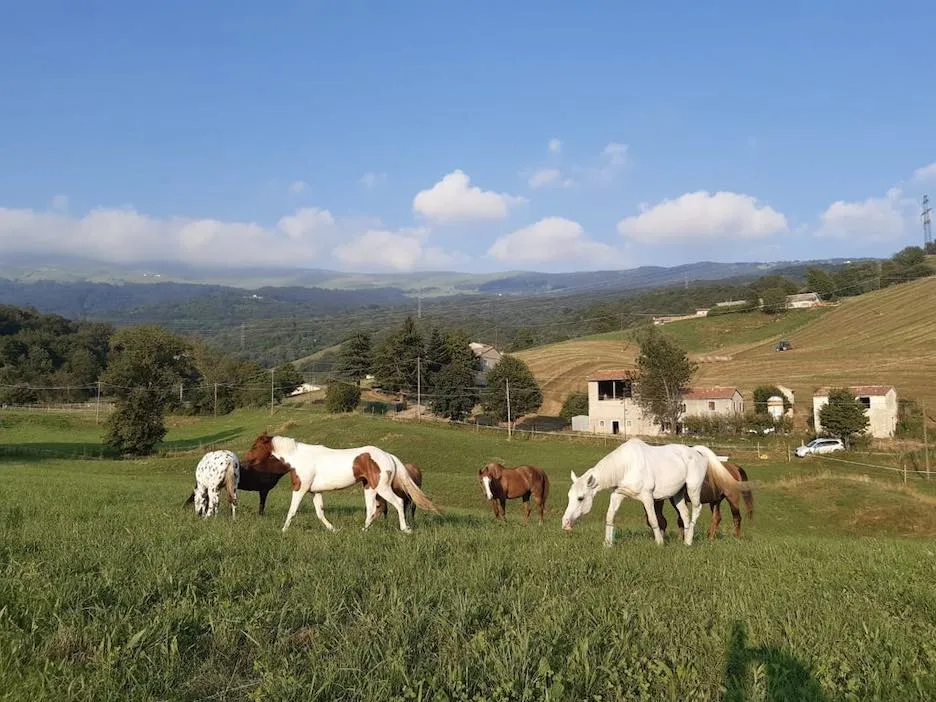 Passeggiata a Cavallo ai piedi del Monte Baldo con vista lago