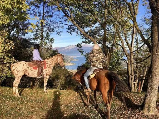 Passeggiata a Cavallo sulle Colline Moreniche e pranzo in agriturismo