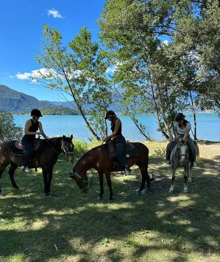 Passeggiata a Cavallo in riva al lago di Como da Colico