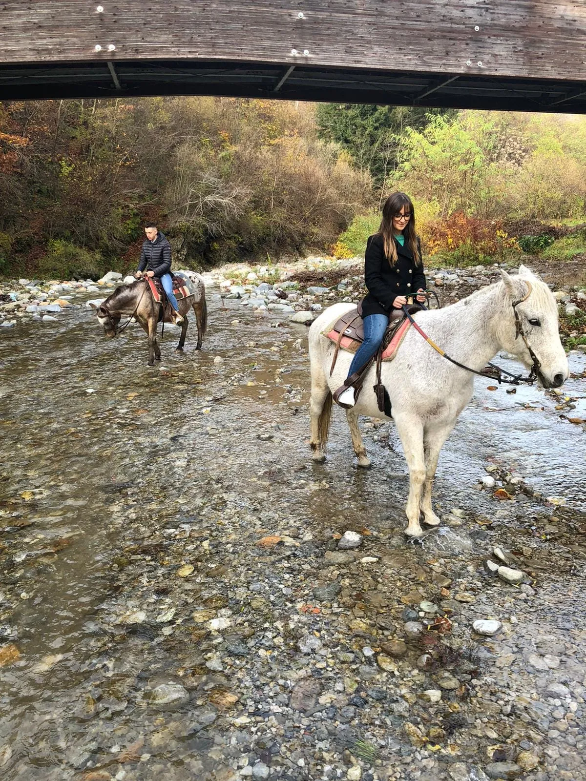 Passeggiata a Cavallo nelle montagne sopra Lecco