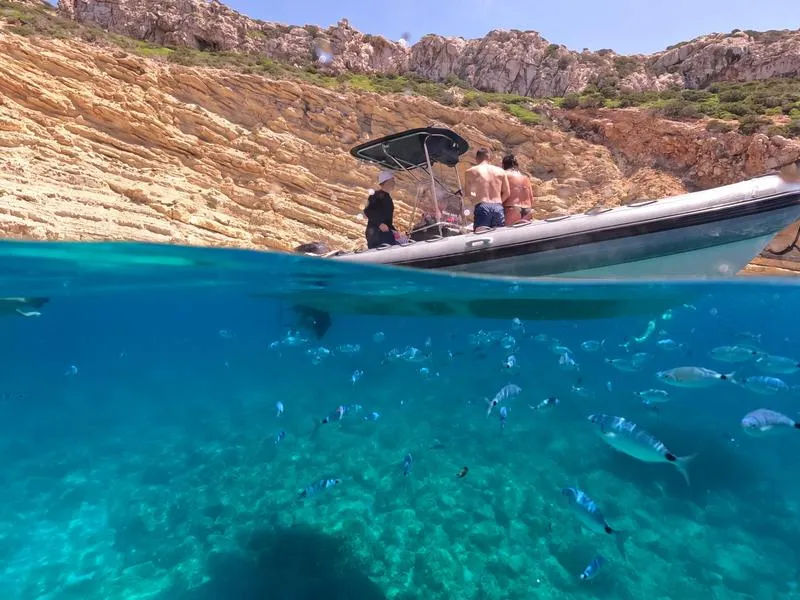 Mezza giornata in gommone nel parco naturale di Porto Conte con aperitivo