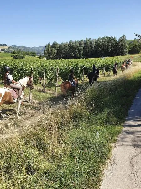 Passeggiata a cavallo in mezzo ai vigneti delle Langhe
