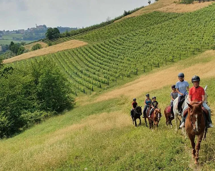 Passeggiata a cavallo in mezzo ai vigneti delle Langhe