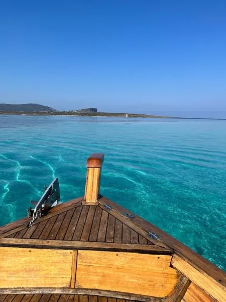 Escursione in gozzo in legno con pranzo a bordo all'Asinara