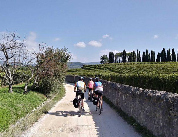 Le 20 migliori idee regalo per uomo di 50 anni nel 2025