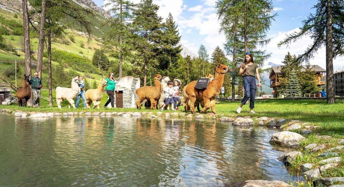 Le 20 migliori esperienze per la famiglia da regalare nel 2025