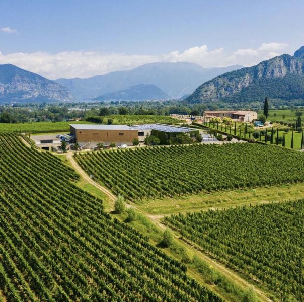 Degustazione vini in Franciacorta da regalare: le 10 migliori