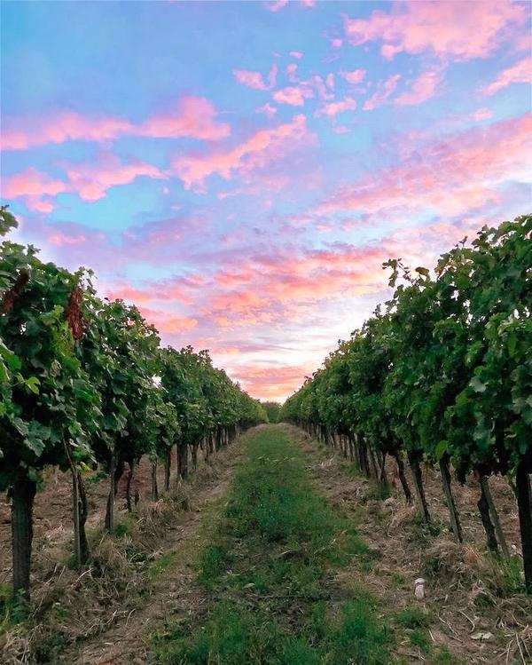 Le 6 migliori degustazioni vini in Toscana da regalare