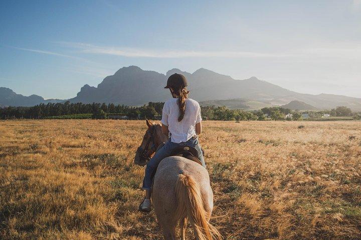 Le 20 migliori esperienze da regalare in Toscana