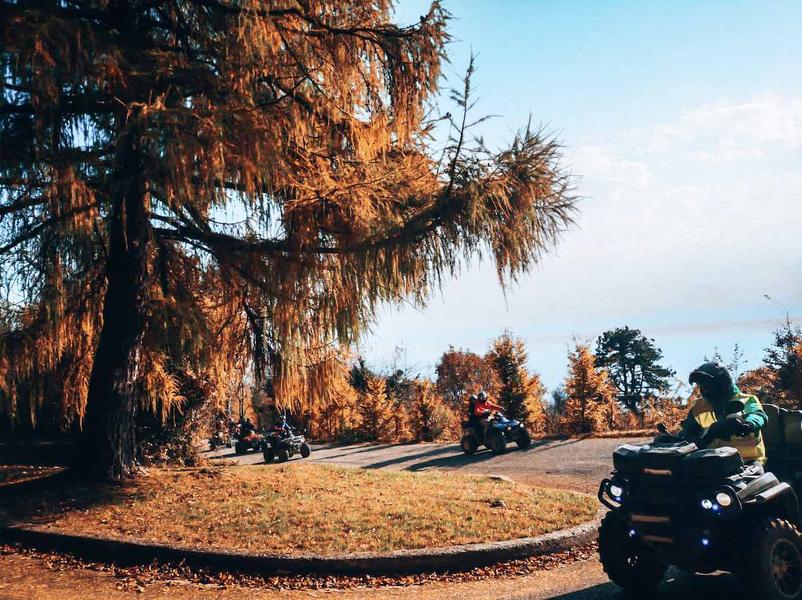 Le migliori 20 esperienze da regalare per la laurea