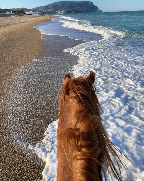 Le 9 migliori esperienze da regalare nelle Marche