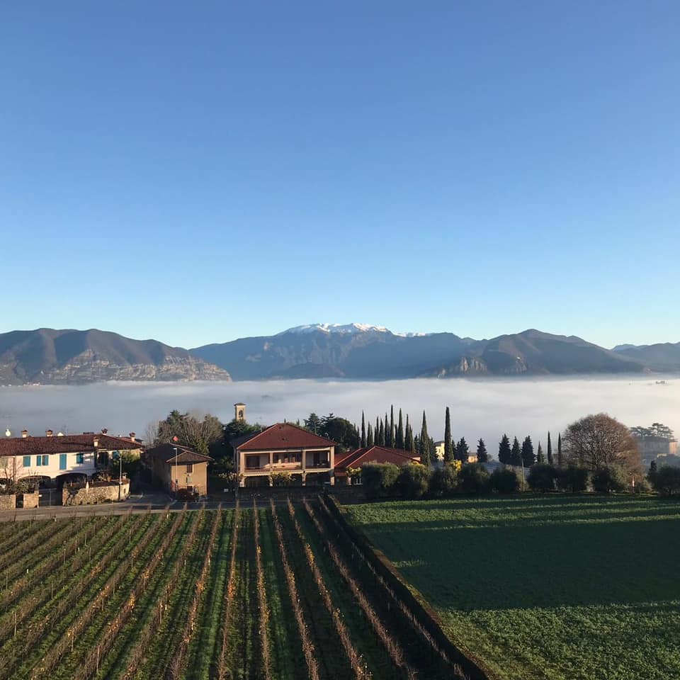 Degustazione vini in Lombardia da regalare: Le 17 migliori
