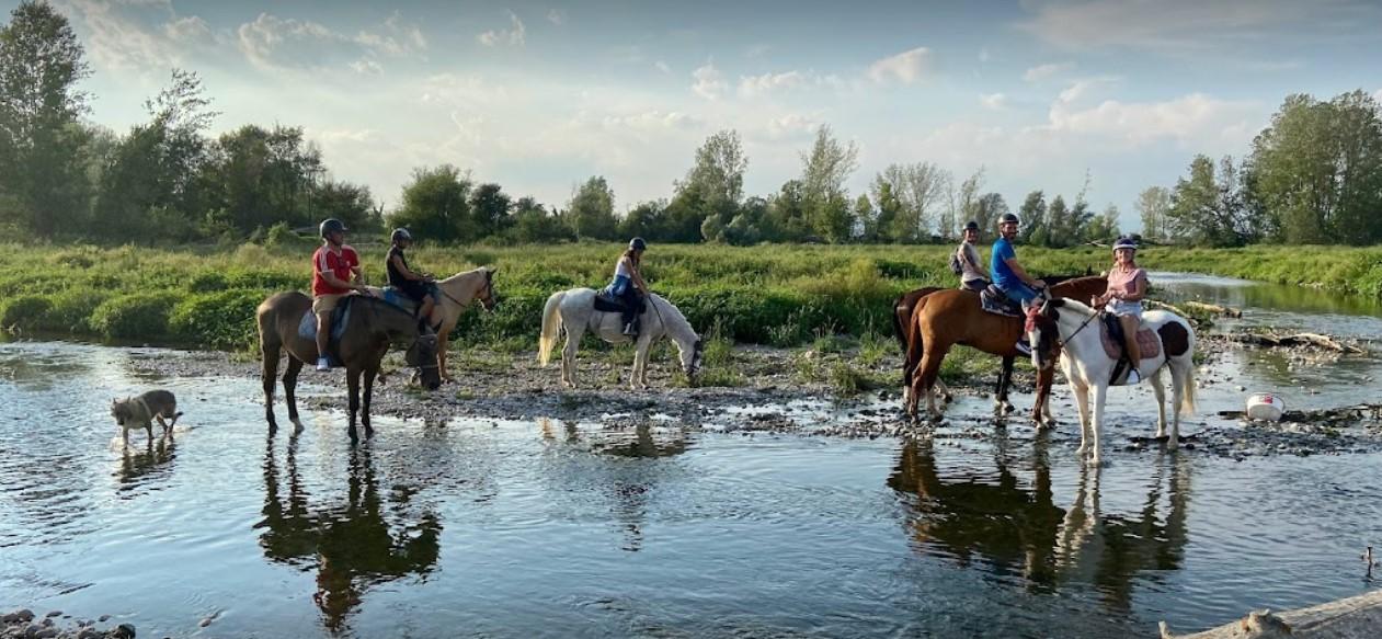 Le migliori 10 idee regalo di laurea economico fino a 30 euro
