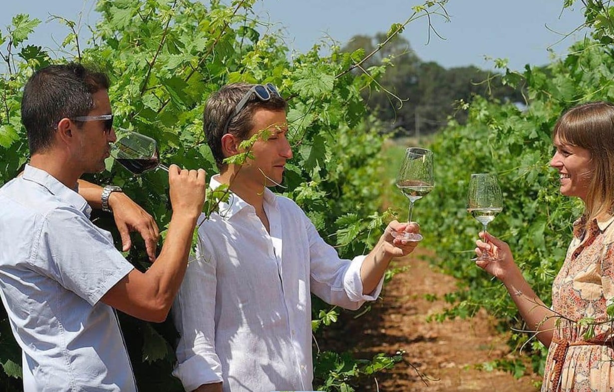 Le 15 migliori degustazioni vini in Toscana