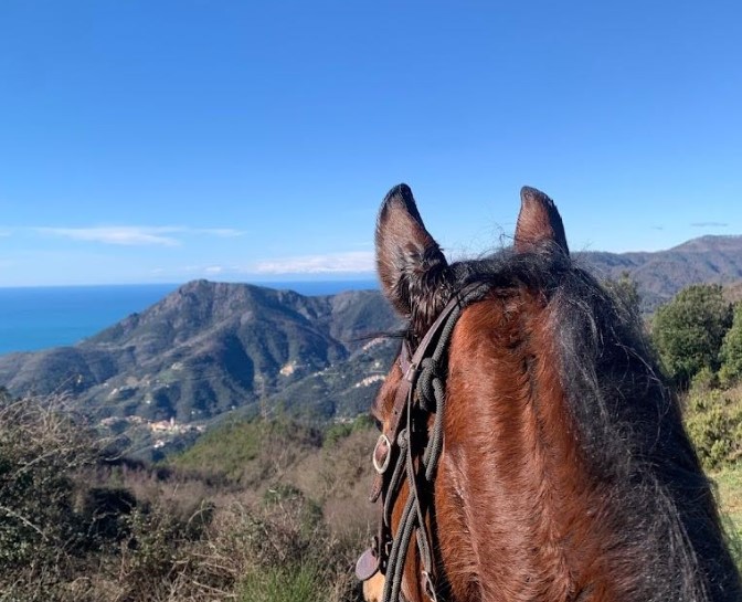 Passeggiate a Cavallo in Liguria: Le 3 migliori