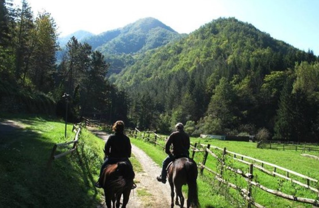 Passeggiate a Cavallo in Emilia Romagna: Le 8 migliori