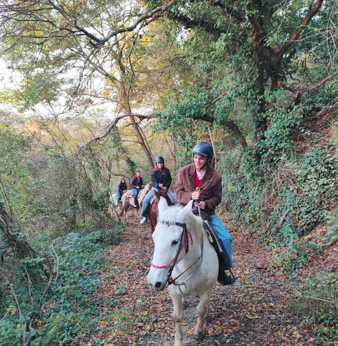 Passeggiate a Cavallo a Pisa: Le 2 migliori