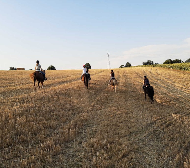 Passeggiate a Cavallo a Piacenza: La migliore