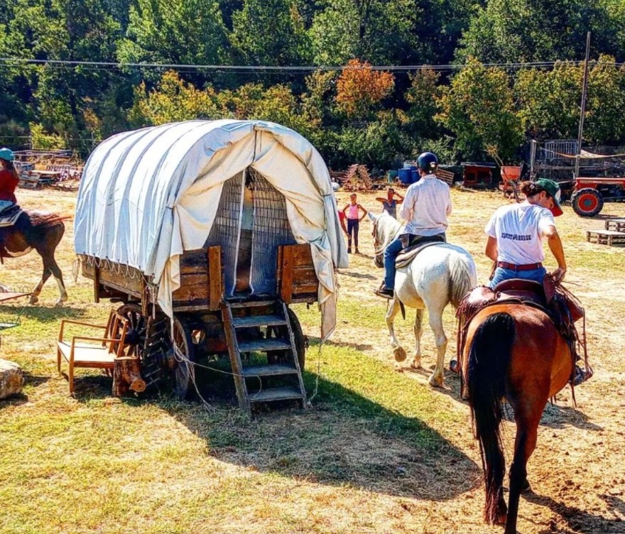 Passeggiate a Cavallo a Firenze: Le 4 migliori