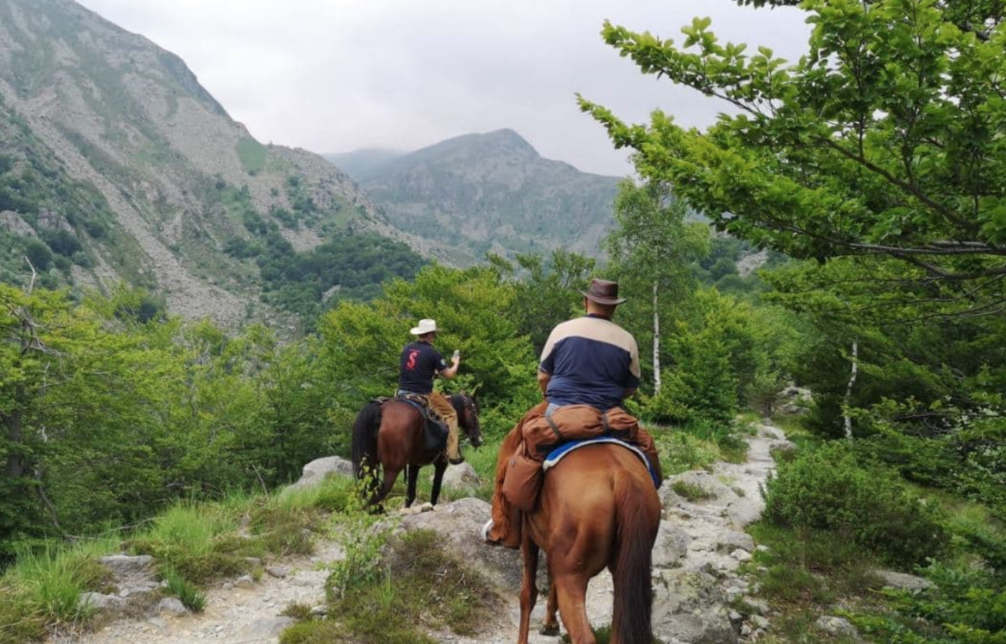 Passeggiate a Cavallo a Torino: Le 4 migliori