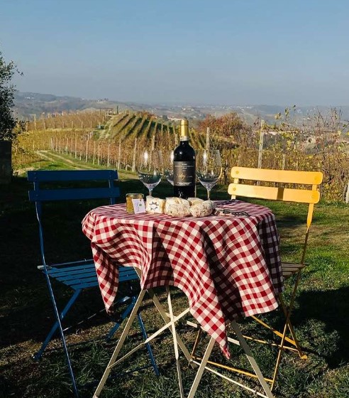 Le 15 migliori degustazioni vini ad Alba