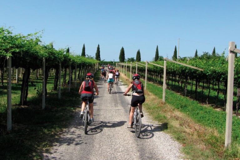 Giri in E-bike a Verona: i 3 migliori giri