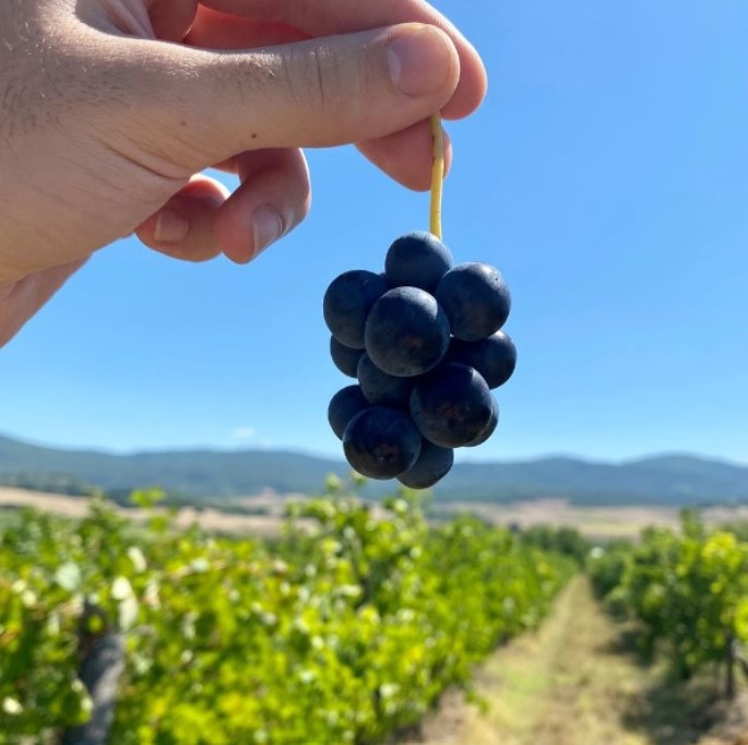 Le 5 migliori esperienze da fare in Val d'Elsa