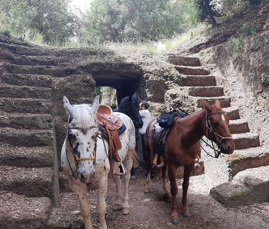 Le 10 migliori esperienze da fare a Roma