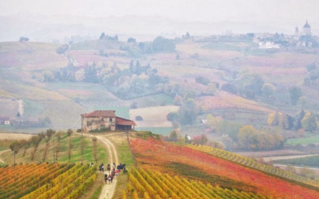 Le migliori 10 Cose Da Fare a Alessandria e Provincia