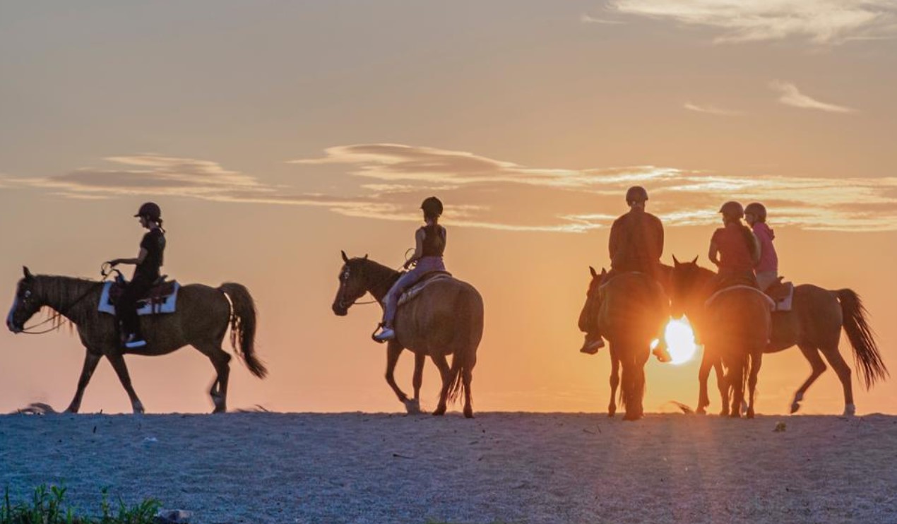 Passeggiate a Cavallo nelle Marche: le 2 migliori