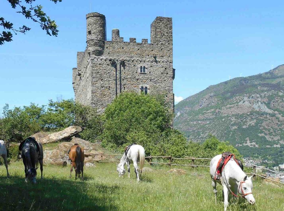 Passeggiate a Cavallo a Biella: le 3 migliori
