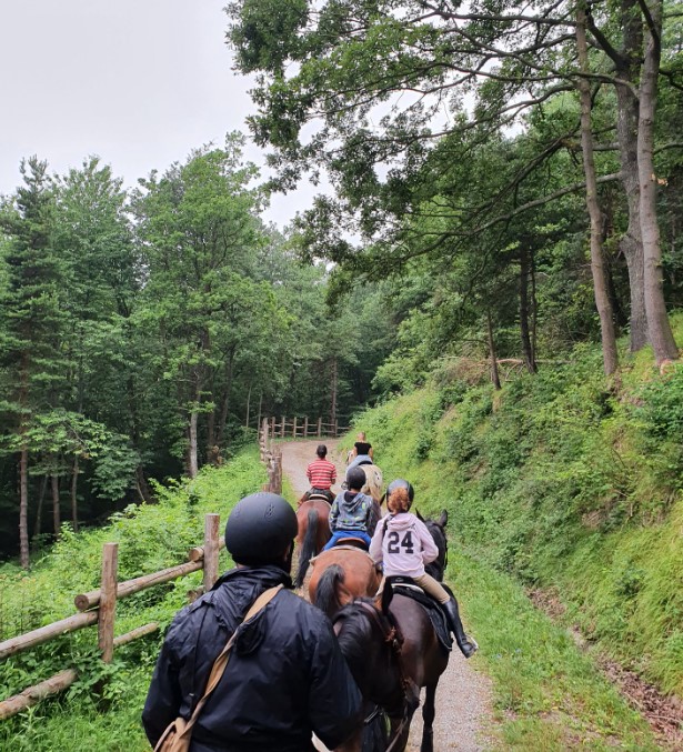 Passeggiate a Cavallo ad Asti: la migliore