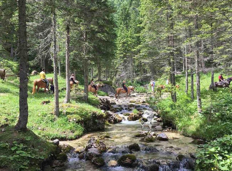 Passeggiate a Cavallo a Belluno: le 5 migliori