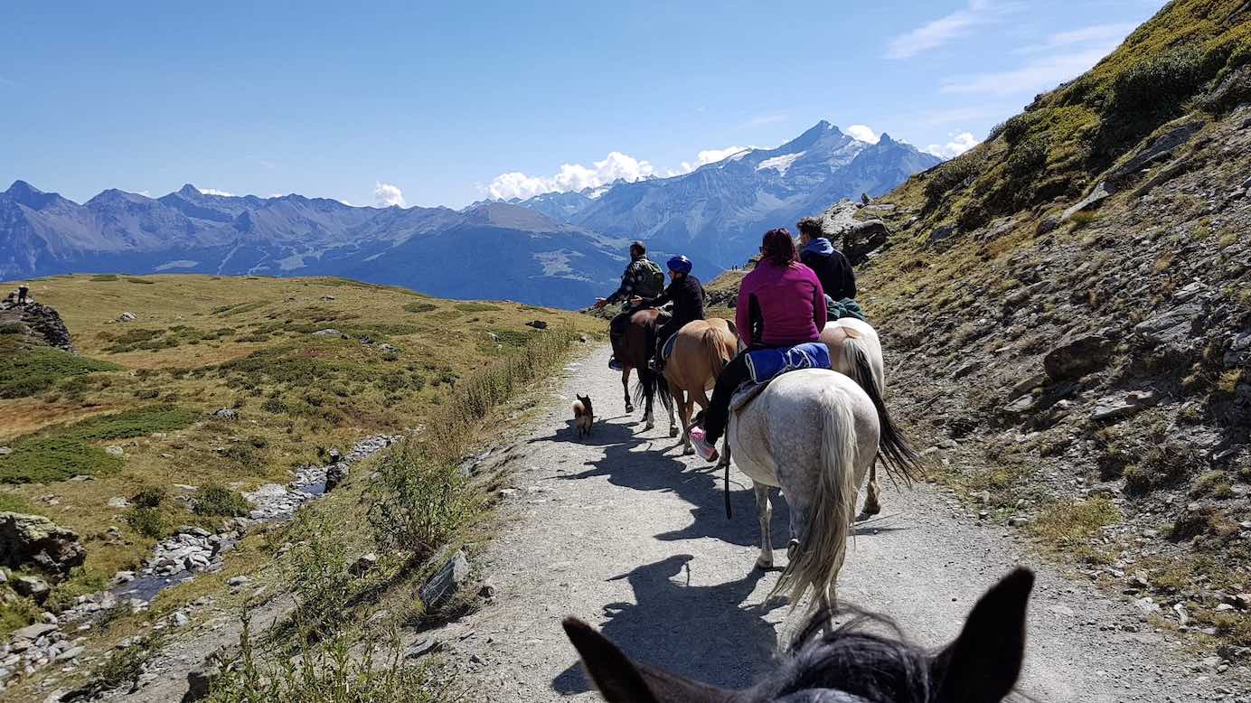 Passeggiate a Cavallo ad Aosta: le 2 migliori